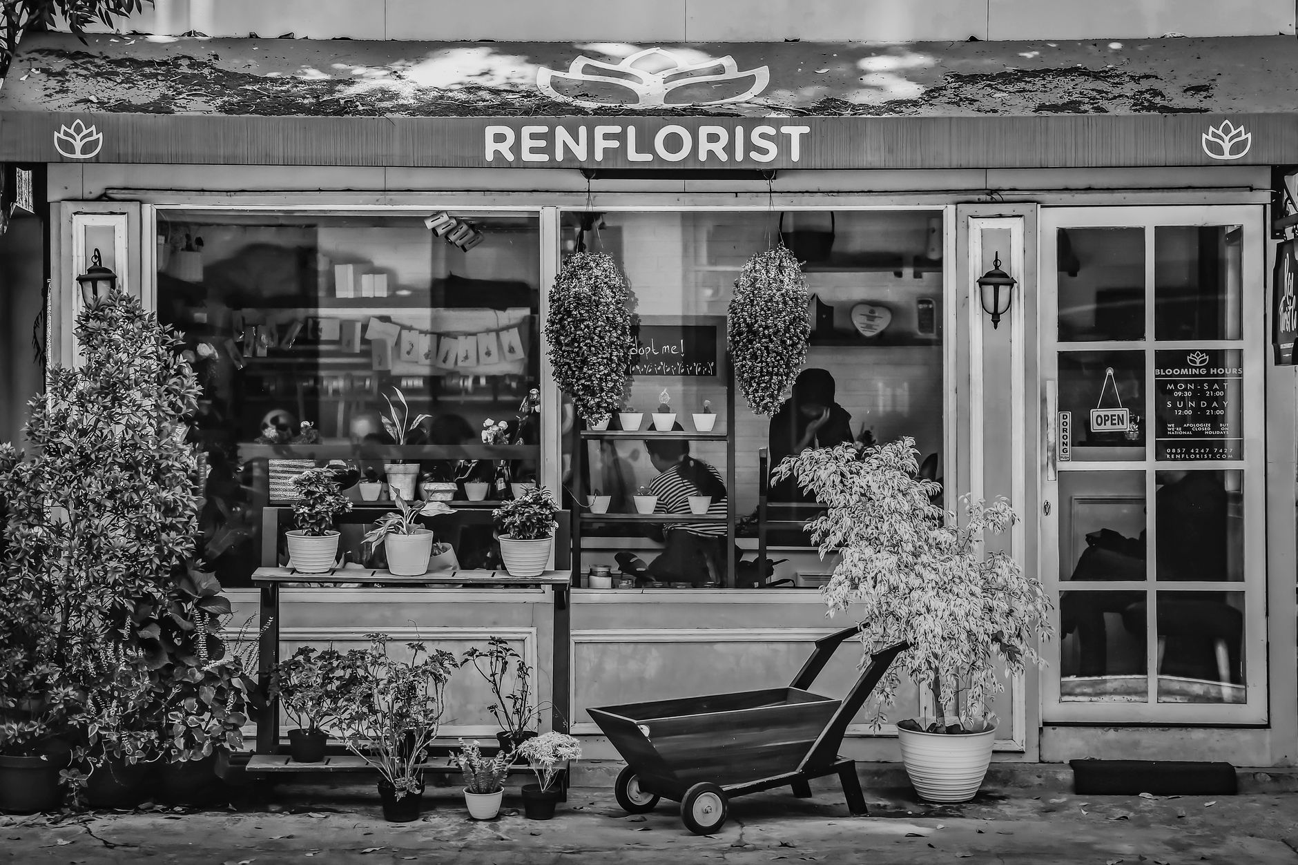 Fleuriste à Champigny-sur-Marne